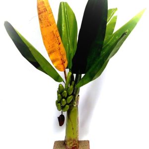 artificial banana tree handicrafts 1 ft 1 pair set